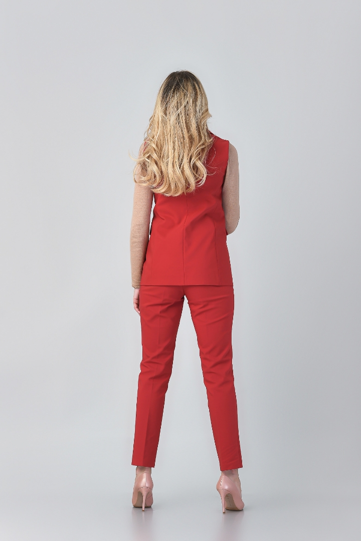 Imagine Vesta Irina rosie