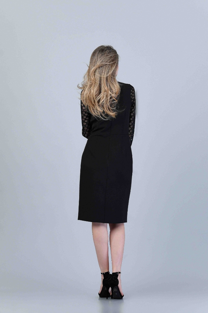 Imagine ROCHIA DALYA NEAGRA