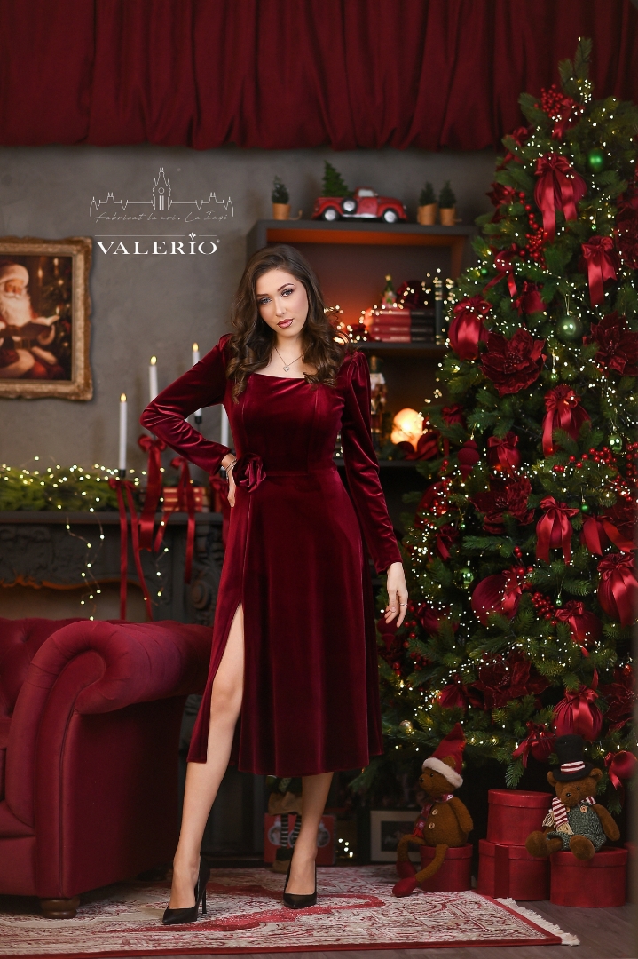 Imagine Rochia Sidney Burgundy