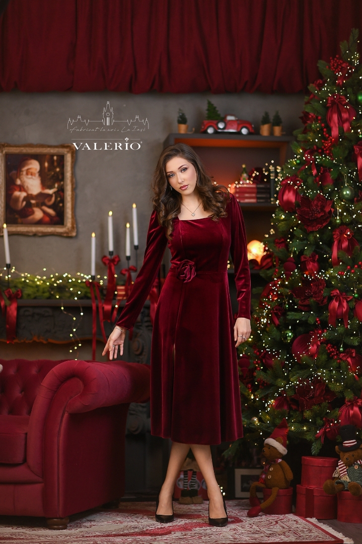 Imagine Rochia Sidney Burgundy